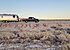 2017 Airstream Flying Cloud for sale 300281276